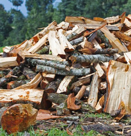 Firewood Pile For Winter Firewood pile of roughly chopped wood for winter in the countryside
